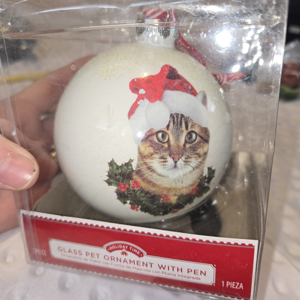 Holday Time Glass Tabby Cat Ornament With Pen To Personalize Name